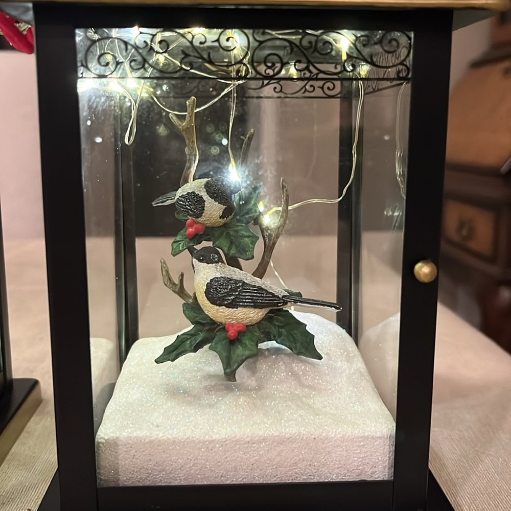 Beautiful decorative light up lantern with birds in snow.